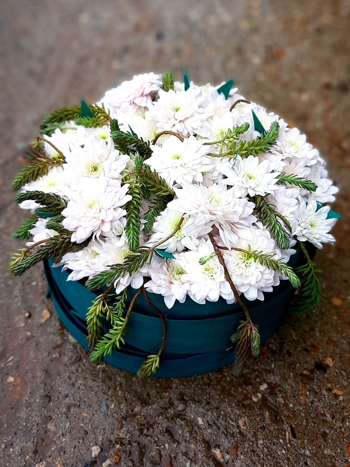 Chrysanthemum-Pastela-Rosé-round-design-on-Thursd